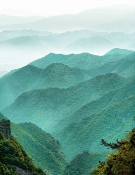Image With Sidebar