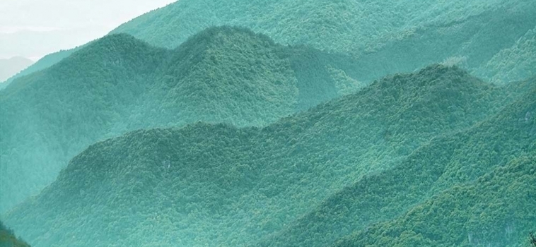 Image With Sidebar